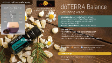 Petal Diffuser + Balance Oil (扩花瓣扩散器+平衡油)